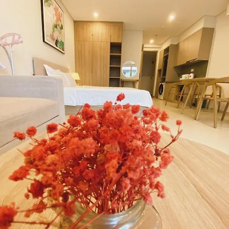 The Song Apartment 5 Star - Windy'S Home Vung Tau Exterior photo